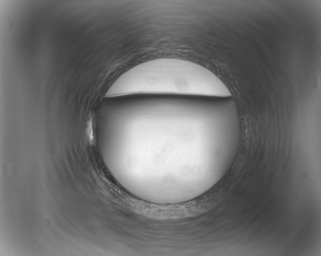 X0000080750042200612151009