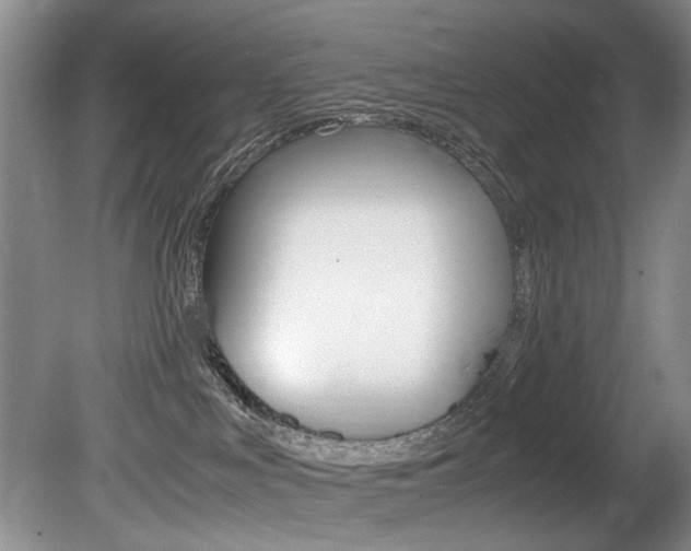 X0000080750043200612151009