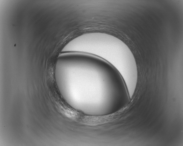 X0000080750045200612151009