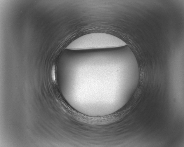 X0000080750046200612151009