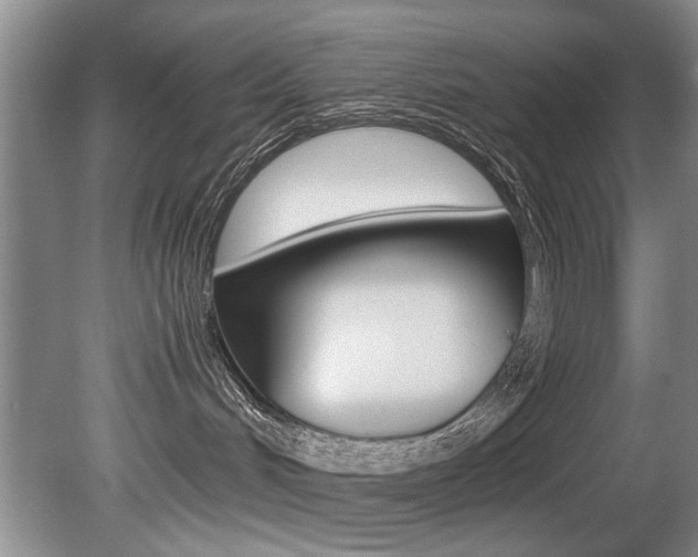 X0000080750048200612151009