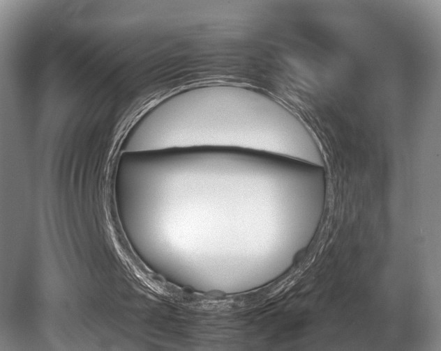 X0000080750049200612151008