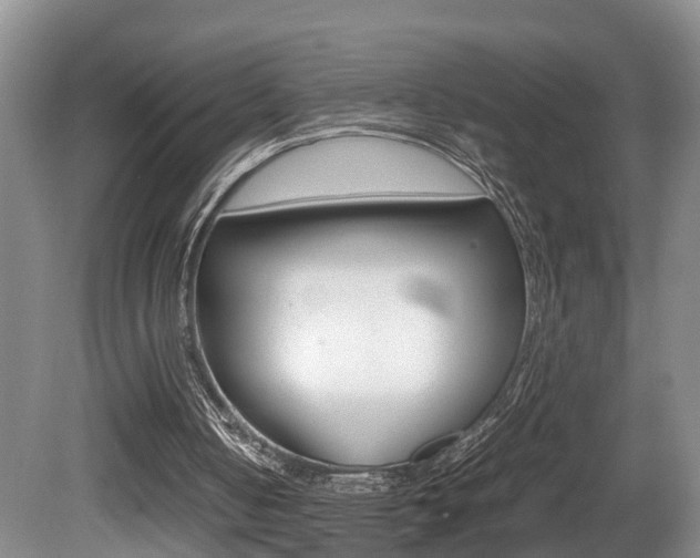 X0000080750050200612151008