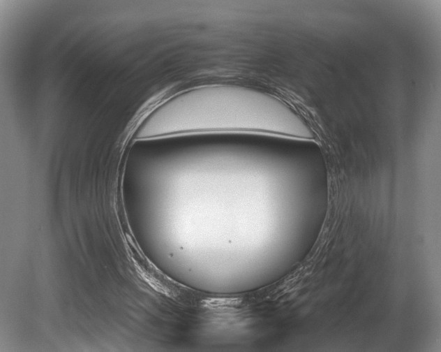 X0000080750051200612151008