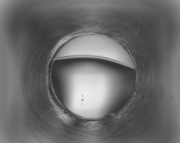 X0000080750054200612151008