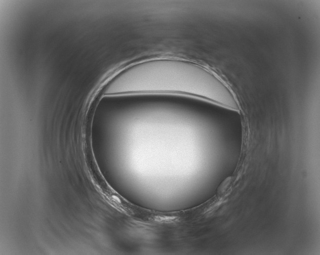 X0000080750055200612151008