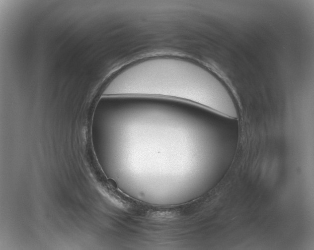 X0000080750063200612151008