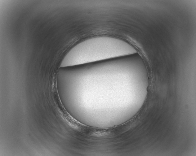 X0000080750065200612151008