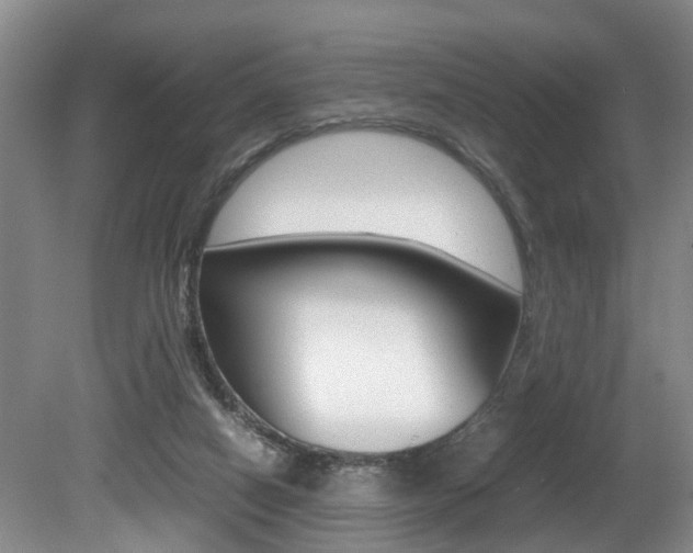 X0000080750066200612151008