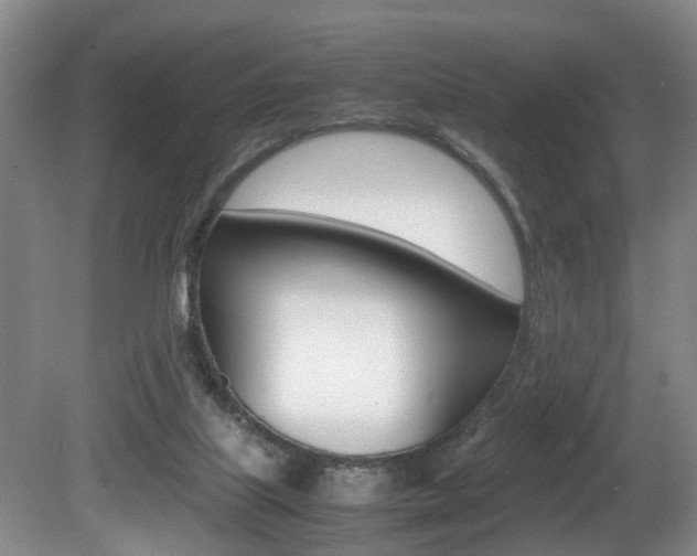 X0000080750067200612151008