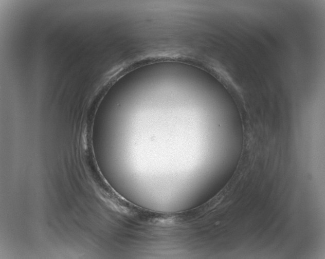 X0000080750068200612151008