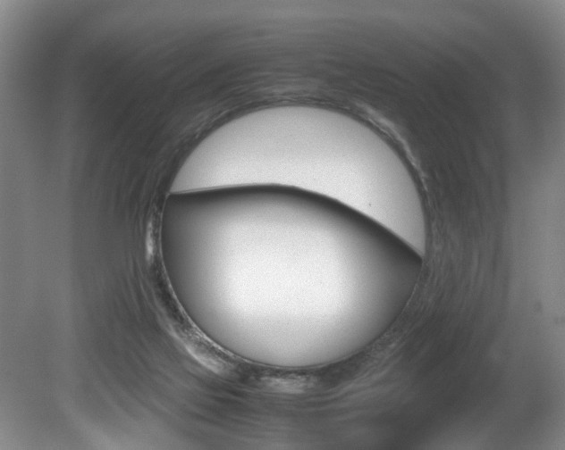 X0000080750069200612151008