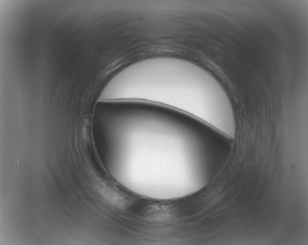 X0000080750071200612151008