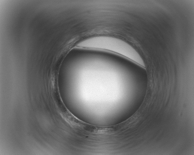 X0000080750072200612151008