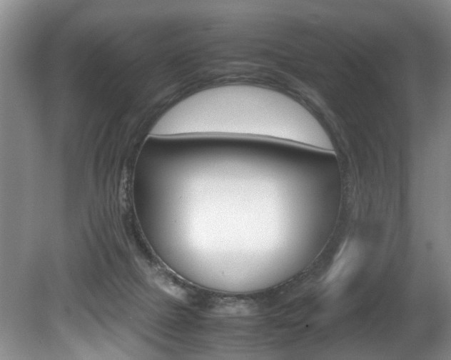 X0000080750073200612151008
