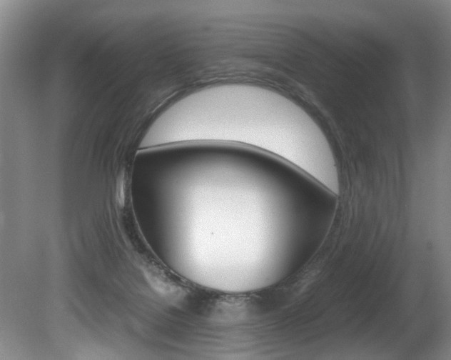 X0000080750076200612151009