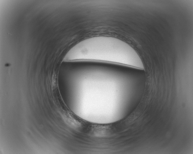 X0000080750081200612151009