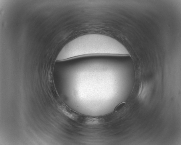 X0000080750083200612151009