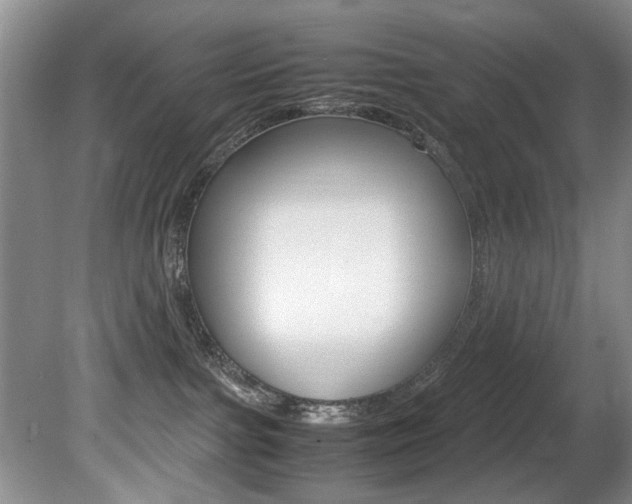 X0000080750091200612151009