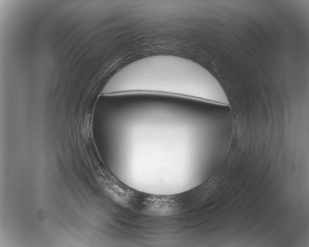 X0000080750093200612151009