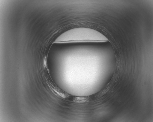 X0000080750095200612151009