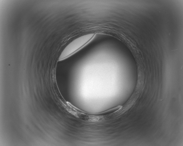 X0000080750096200612151009