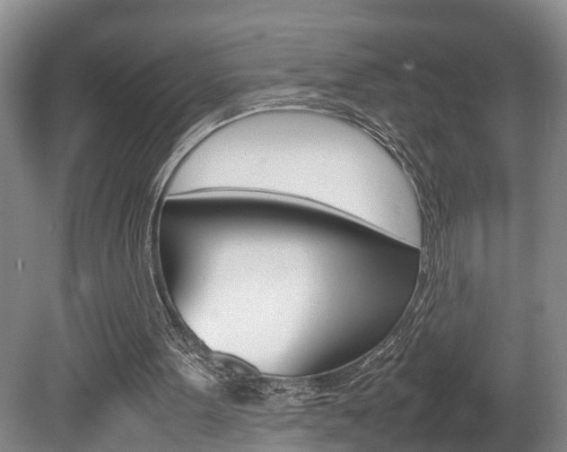 X0000080750099200612151008