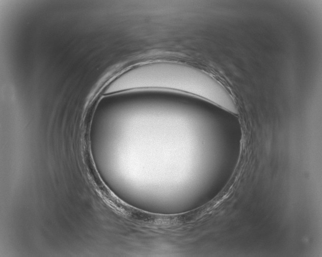 X0000080750101200612151008