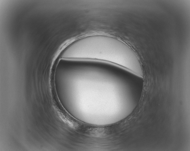 X0000080750104200612151008