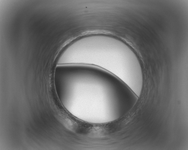 X0000080750111200612151008