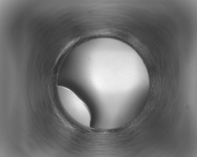 X0000080750112200612151008