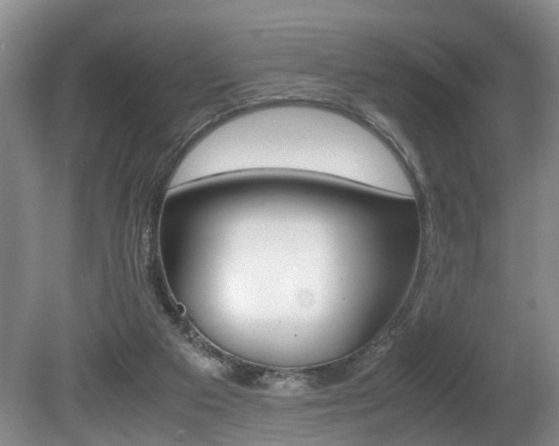 X0000080750113200612151008
