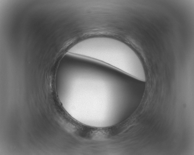 X0000080750115200612151008