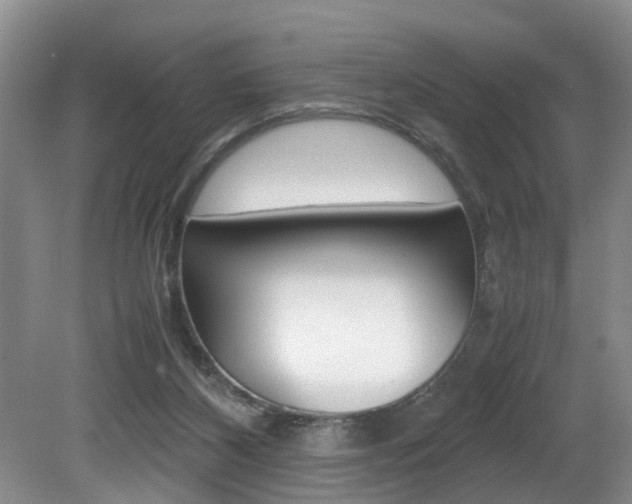 X0000080750116200612151008