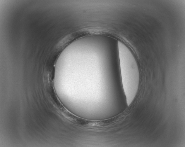 X0000080750117200612151008