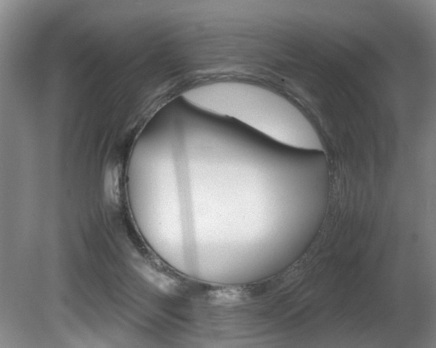 X0000080750118200612151008