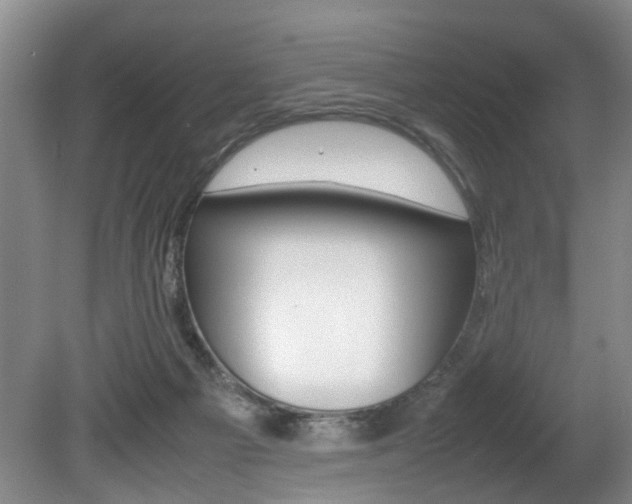 X0000080750121200612151008