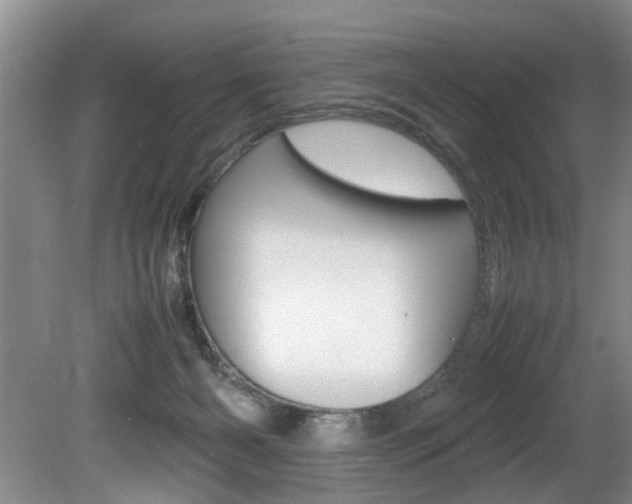 X0000080750126200612151008