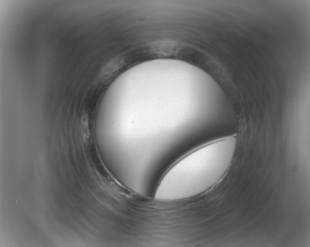 X0000080750128200612151008