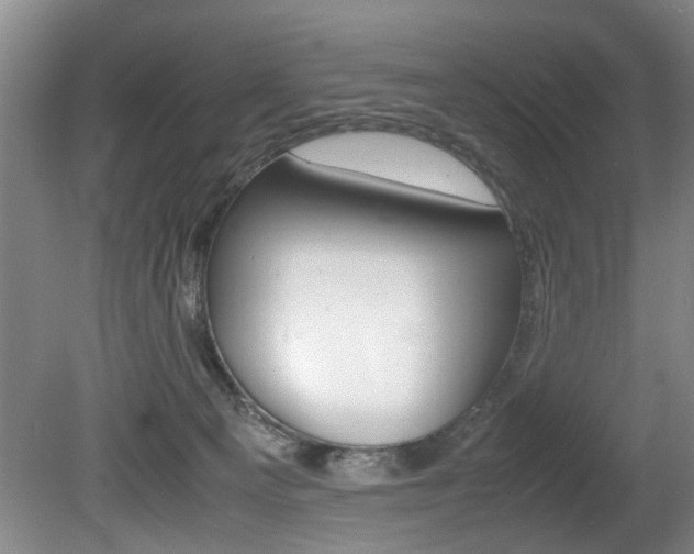X0000080750129200612151008