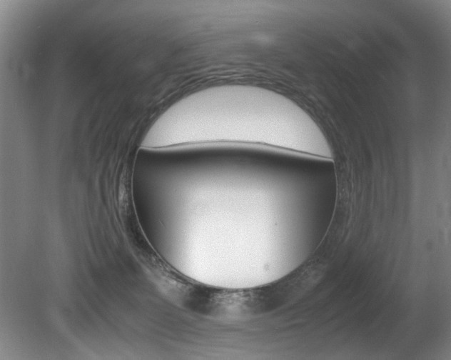 X0000080750131200612151007