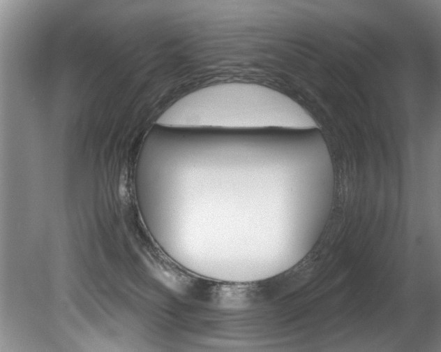 X0000080750134200612151007