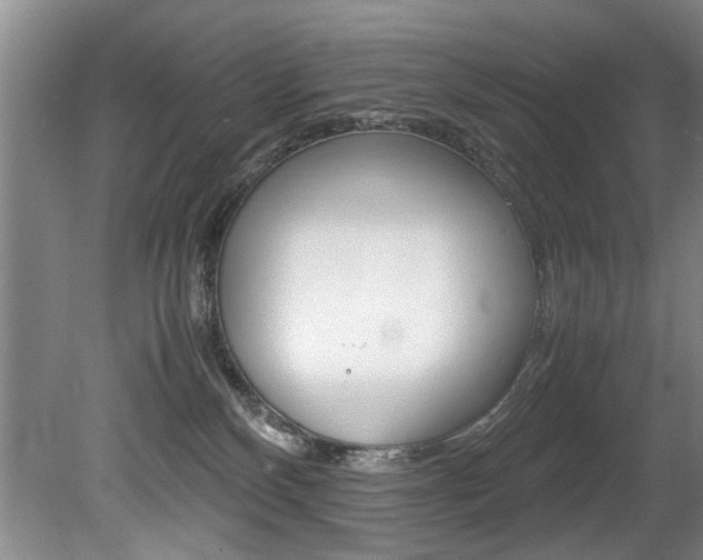 X0000080750136200612151007