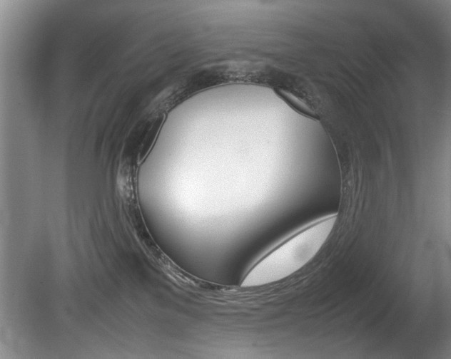 X0000080750137200612151007
