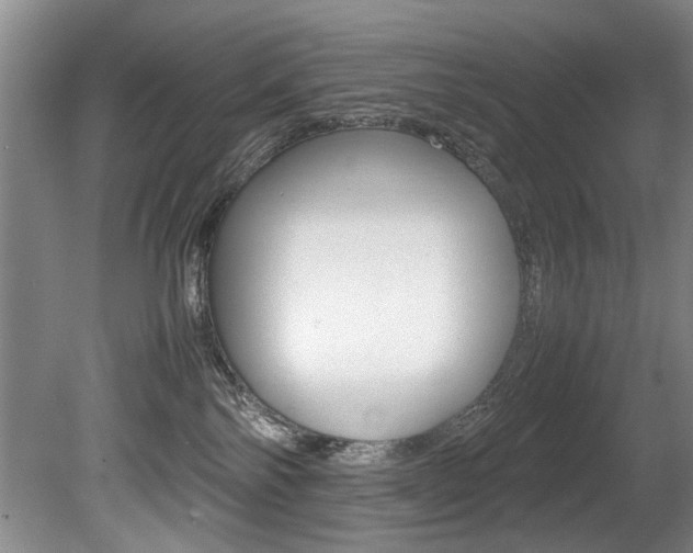 X0000080750138200612151007