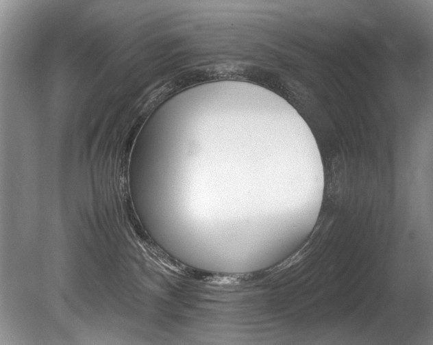 X0000080750140200612151007