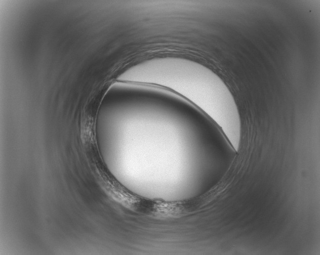 X0000080750141200612151007