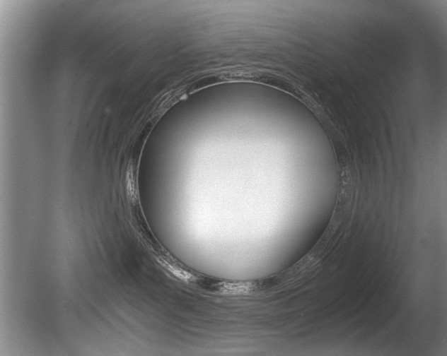 X0000080750143200612151007