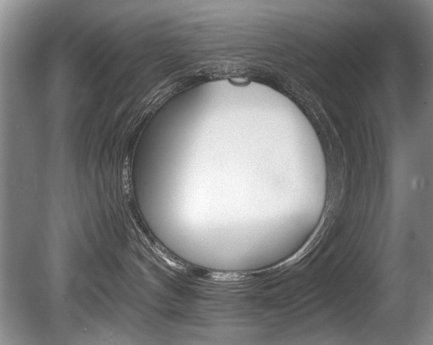 X0000080750144200612151007