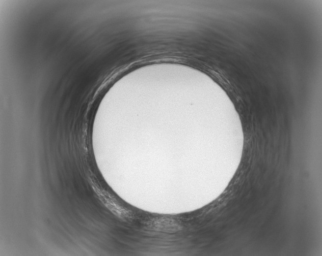 X0000080750146200612151006